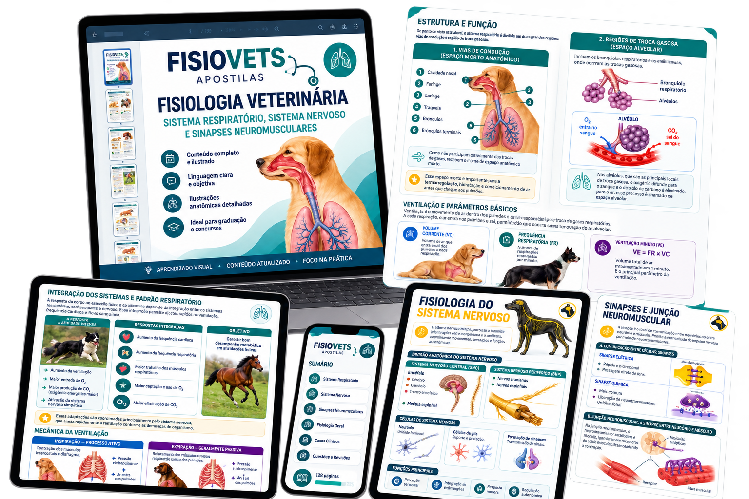 Mockup das apostilas ilustradas do FisioVets Academy
