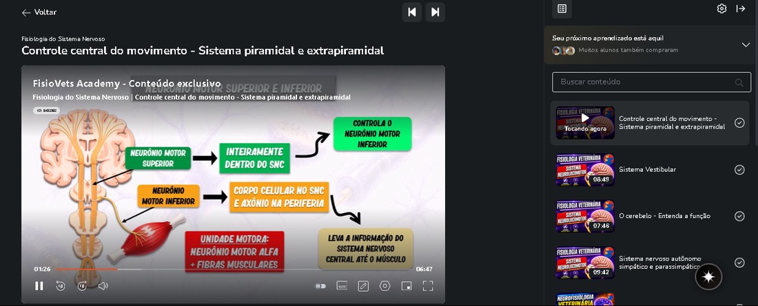 Print da área de membros do FisioVets Academy