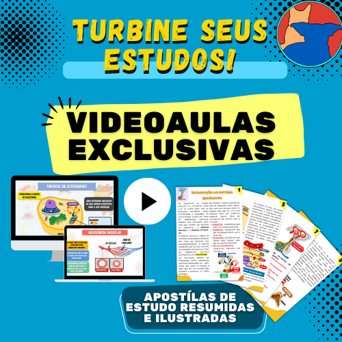 Turbine Seus Estudos
